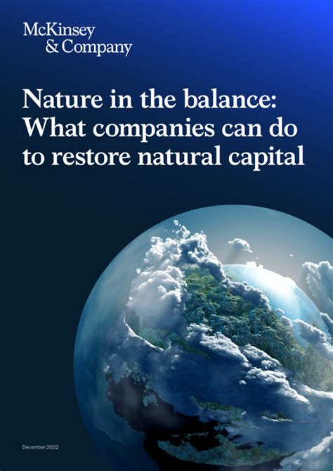 平衡中的自然：公司可以做些什么来恢复自然资本