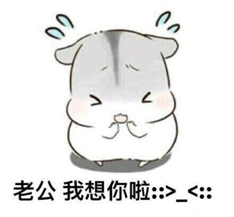 老公表情包图片