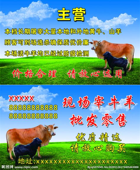 牛羊名片设计图__名片卡片_广告设计_设计图库_昵图网nipic.com