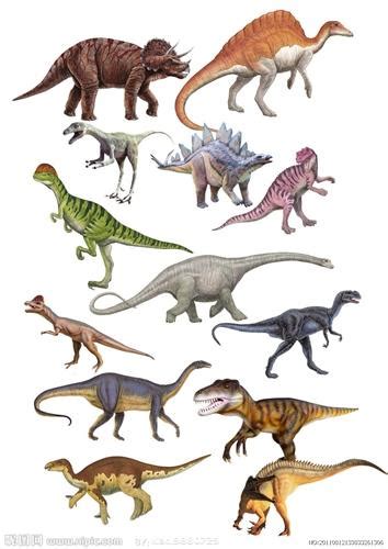 肿头龙_恐龙种类_恐龙品种分类l型名称大全恐龙品类图片大全名字