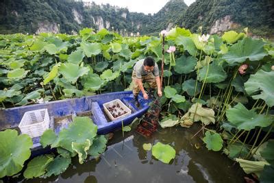 贵州毕节市金沙县再增添一家水乡渔村_水产快讯（业界动态）_水产养殖网