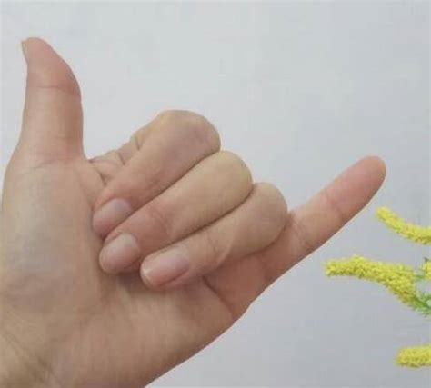 七指图图片