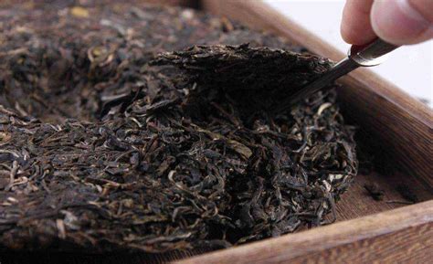 普洱茶散茶、沱茶、茶饼、茶砖,哪种更好-润元昌普洱茶网