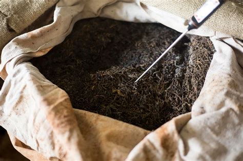 【茶百科】发酵史：茶叶的工艺发展史。-津乔|匠制纯粹好茶