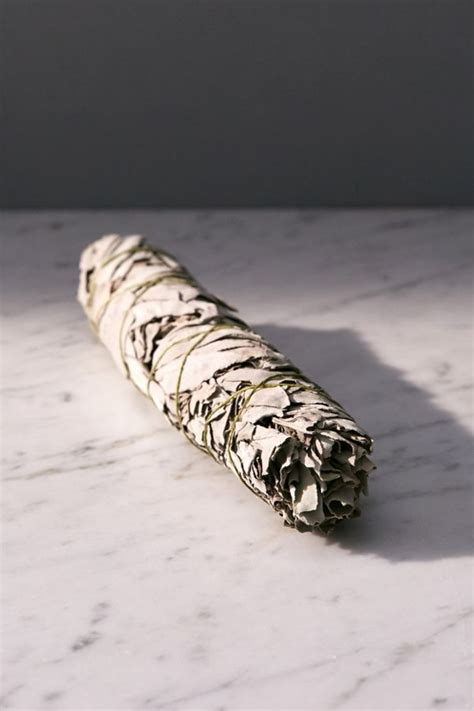Juniper Ridge White Sage Incense Stick | Urban Outfitters