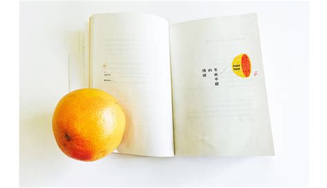 《我想要两颗西柚》书籍设计_Z09059247-站酷ZCOOL