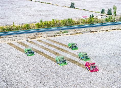新疆昌吉：重点公路建设项目加紧施工-人民图片网