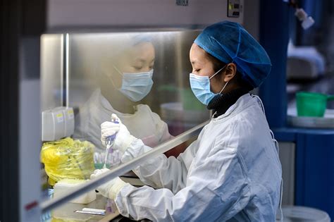 P4实验室研究什么病毒（p4实验室存放的病毒） - 广东兴霖实验室建设
