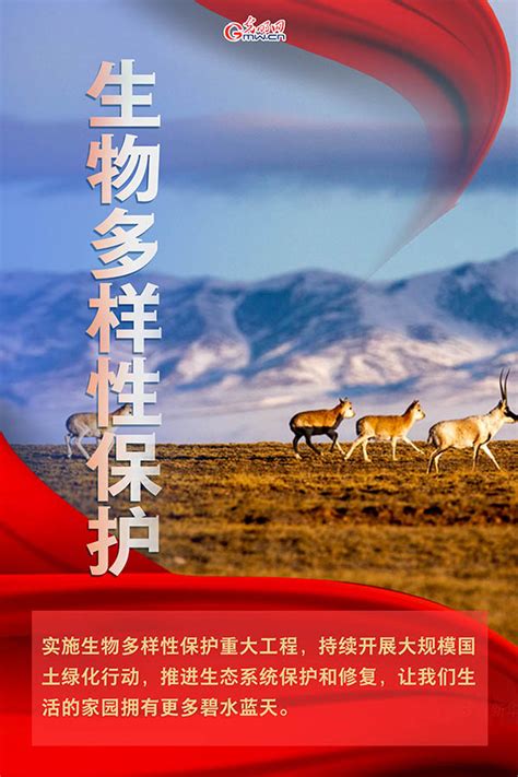 2021年政府工作报告，提到这些生态环保关键词-千龙网·中国首都网