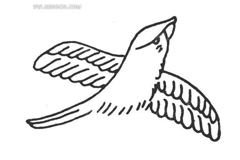 即将飞行的小鸟简笔画画法图片步骤 巧巧简笔画
