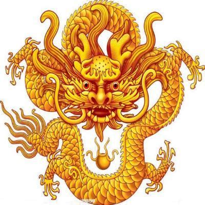 非主流龙的头像