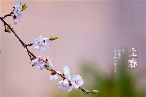 2019年立春是几月几号，中国人有关立春的风俗-传统文化杂谈