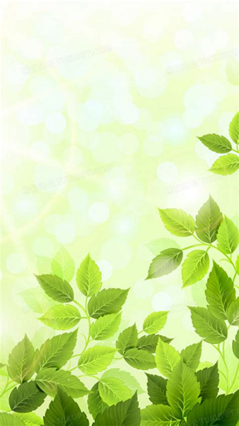 绿色小清新树叶ai矢量图h5背景背景图片素材免费下载_熊猫办公