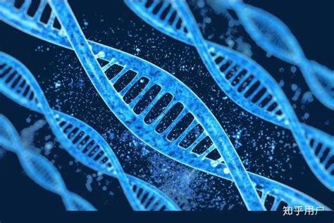 基因编辑技术及其在基因治疗中的应用。万字长文综述，收藏起来慢慢看__凤凰网