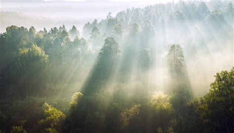 在薄雾景观中美丽的雾和云山的壮丽景色rai之后的夏季时间高清图片下载-正版图片506715607-摄图网