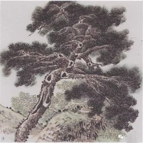 古风松树简笔画,古风简笔画简单_大山谷图库