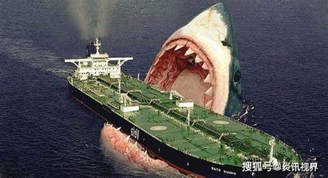大白鲨和它相比弱爆了？巨齿鲨的战斗力到底有多恐怖？_鲨鱼_体型_牙齿