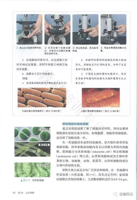 人教版高中生物选择性必修三《生物技术与工程》电子课本（新教材PDF版）_资源_商业行为_任何理由