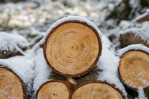 木制品行业未来会如何发展？_木材