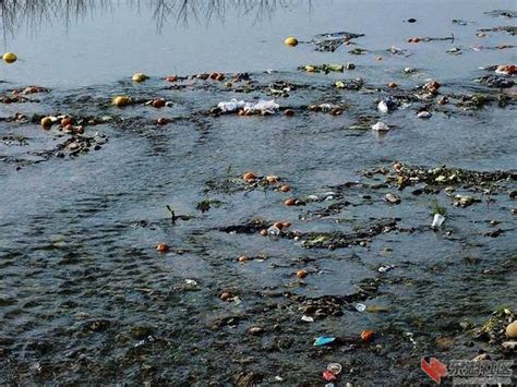 河水是被什么污染的 - 工业废水处理-生活污水处理-有机废气处理——广东建树环保科技有限公司