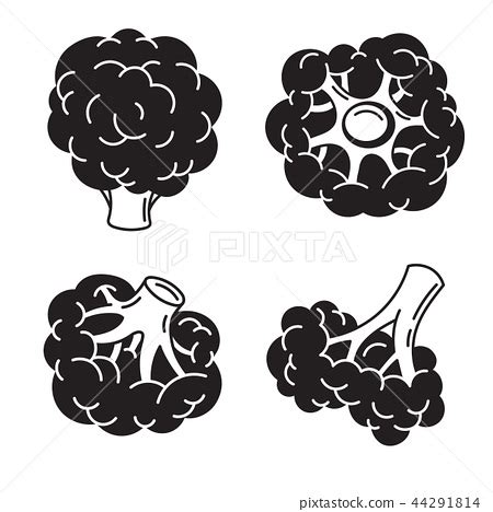 Broccoli icon set, simple style - Stock Illustration [44291814] - PIXTA