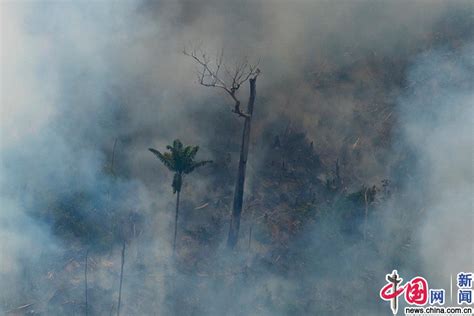 亚马逊的烈火仍在继续，而那些美景还能留存多久？__凤凰网