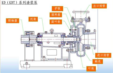 卧式渣浆泵结构图_立式渣浆泵结构图-石家庄强大工业泵渣浆泵