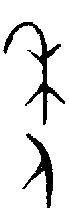 【年，秊】的甲骨文象形文字金文篆文_字典词组含义解释
