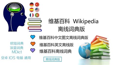 Windows Kiwix 离线维基百科 | 枫音应用