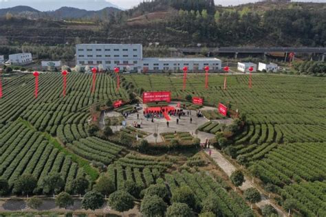 40多家媒体聚焦 电商+直播助销 陕西农业龙头企业品牌提升有了新范式__凤凰网