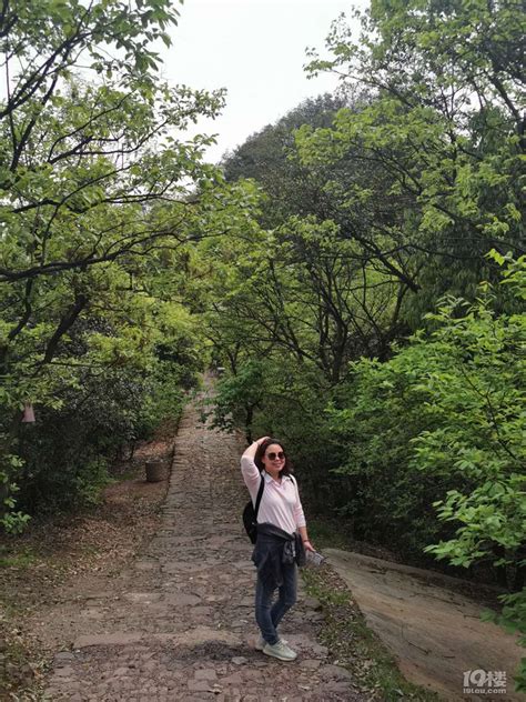 杭州Discovery丨爬山半小时，就为到这里看风景，马家坞这条网红绿道到底值不值得去一趟？