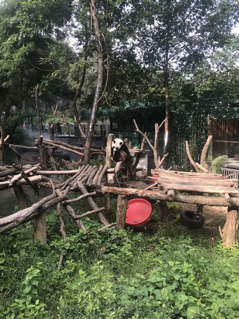 南京市红山森林动物园