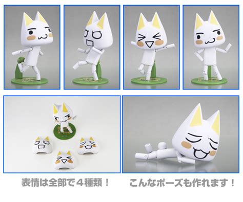 多罗猫图片