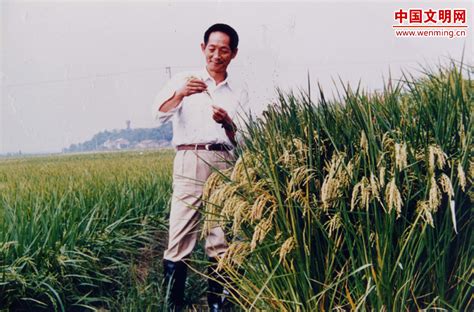 “杂交水稻之父”走了，留给我们无尽的思念 - 要闻 - 湖南在线 - 华声在线