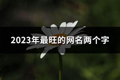 2023年最旺的网名两个字(674个)-淘名吧网