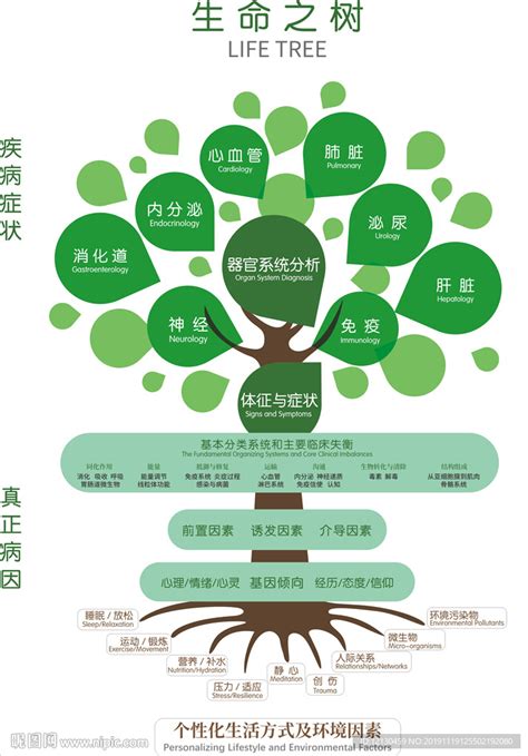 生命之树图片
