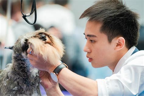 宠物美容大赛-福建农业职业技术学院动物科技学院