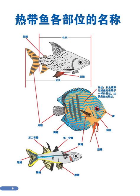 热带鱼图鉴：热带鱼各部位的名称 在线阅读-科普读物 -京东读书