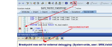 SAP DEBUG 外部断点的设置_word文档在线阅读与下载_文档网