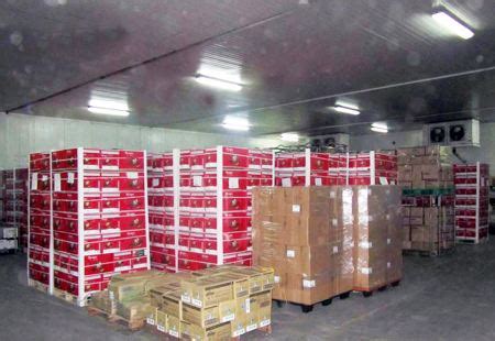安装一个果蔬保鲜库的造价需要多少钱多少钱_上海冷库安装公司【开冉冷库】