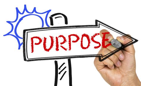 Purpose In Life - 7 Reasons You Need To Know Your Purpose