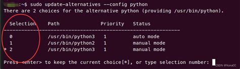 Mac 技术篇-修改默认的python版本，mac最新版Python3.7.4的安装配置-WinFrom控件库|.net开源控件库 ...