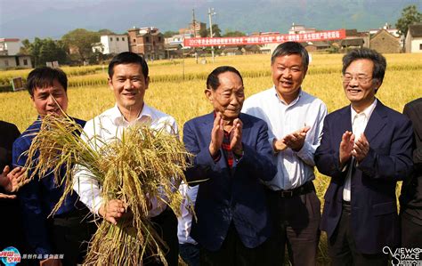 袁隆平宣布：广西灌阳超级稻和再生稻平均亩产世界第一_手机凤凰网