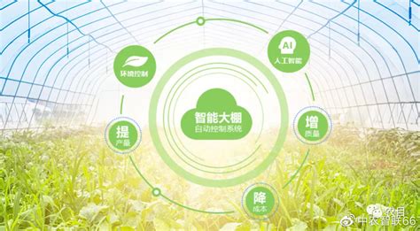 中国未来农业发展前景分析：五大趋势蕴含无限潜力_智慧农业-农博士农先锋网