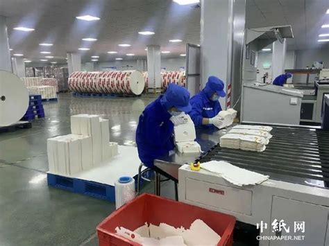 金凤凰纸业新项目成功投产，国内最大高瓦生产基地年产能迈进200万吨 - 知乎