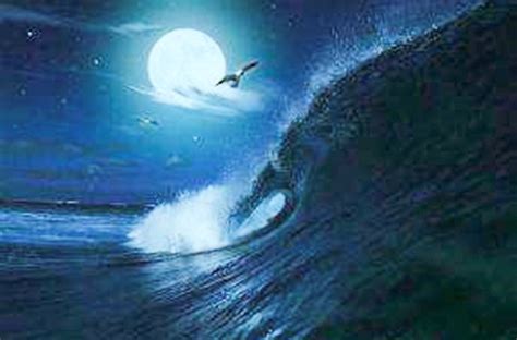 潮汐力和引力的区别,潮汐力是什么意思,潮汐引力大小_大山谷图库