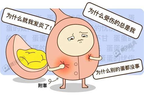 男生的蛋蛋图片
