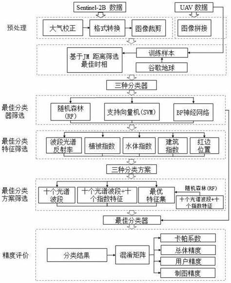 太阳花玉米种植技术与产量