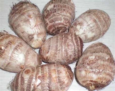 5斤广西荔浦芋头种子苗自种植苗槟榔大香芋栽培育种苗新鲜蔬菜魔-阿里巴巴