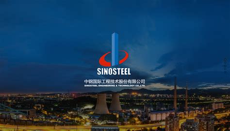 中国中钢集团有限公司－国务院国有资产监督管理委员会
